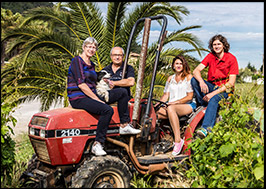 Domaine Buisse Matteri - Vente de vins dans la région de Hyères (Var, 83)